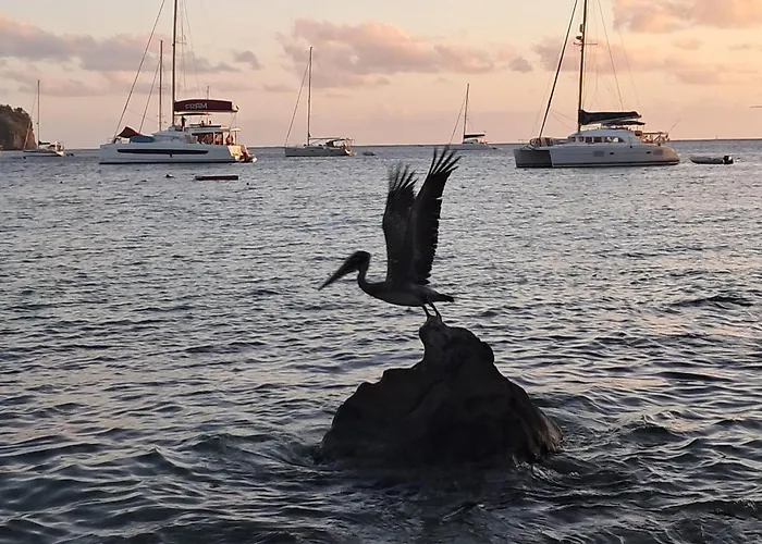 بيت ضيافة Bougaville *