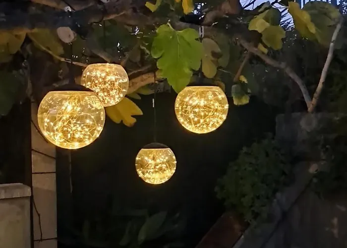 Bougaville سينِغاليا