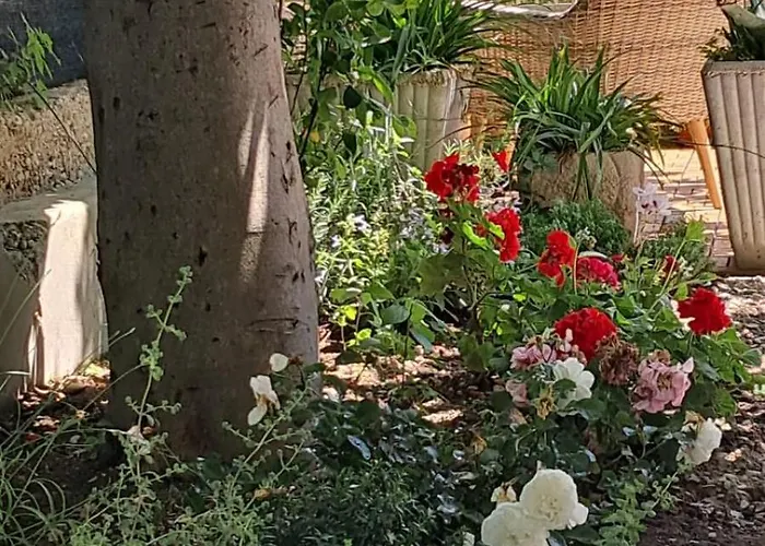 بيت ضيافة Bougaville *