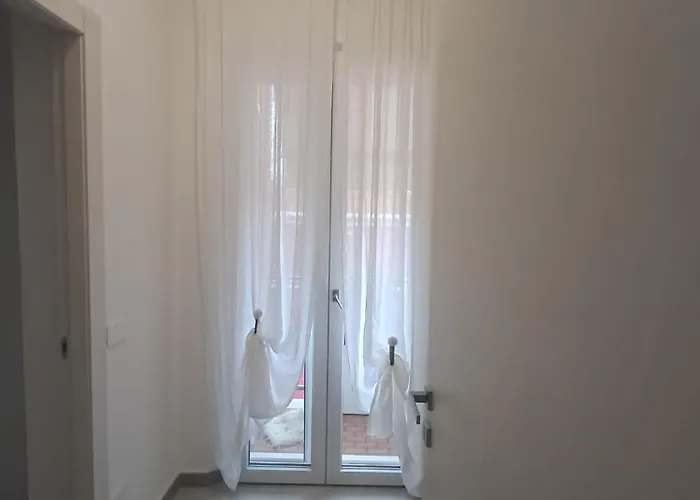 Bougaville سينِغاليا