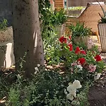 Penzion Bouganvillea 3*