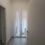 Bouganvillea Σενιγκάλια